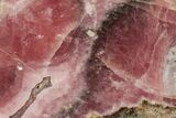 Rhodochrosite Stalactite Slab - Argentina #194394-1